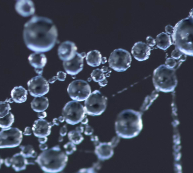 traumaverwerking vroegkinderlijk